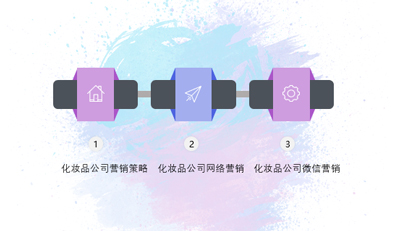 化妝品行業(yè)網絡營銷策略方案